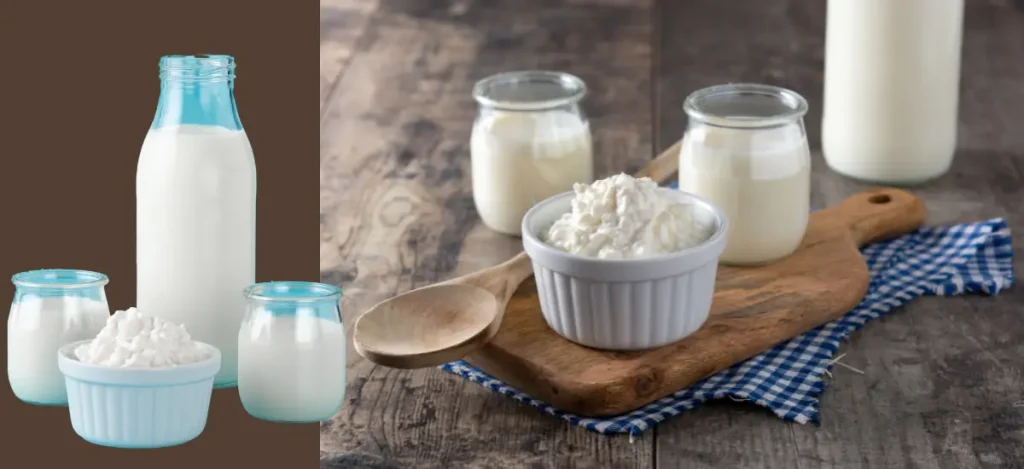 kefir grains and milk